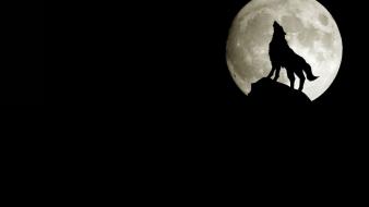Moon howling wolf night wolves wallpaper