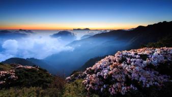 Taiwan clouds flowers fog hills wallpaper