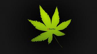 Ubuntu hemp leaves marijuana wallpaper