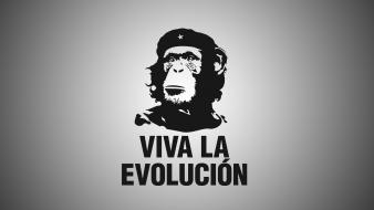 Viva black and white evolution monkeys wallpaper
