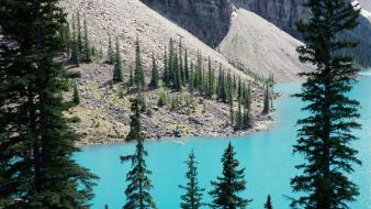 Alberta lakes banff national park moraine lake wallpaper