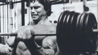 Arnold schwarzenegger muscles training wallpaper