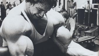 Arnold schwarzenegger muscles training wallpaper