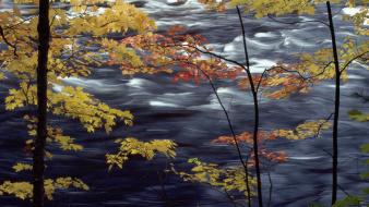 Autumn (season) lakes colors wallpaper