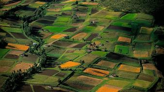 Green landscapes earth fields farmland wallpaper