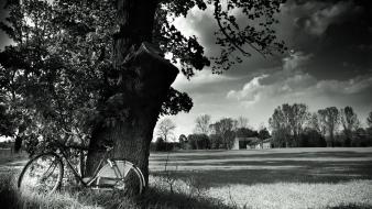 Hdr photography bicycles black and white forests monochrome wallpaper