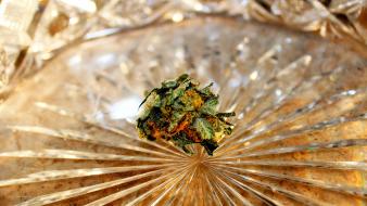 Green marijuana pot crystals herb kush white lightning wallpaper
