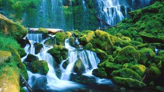 Landscapes forest falls national oregon waterfalls proxy wallpaper