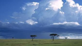 Landscapes storm national mara africa kenya savanna wallpaper