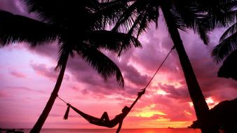 Nature silhouette paradise relaxing hammock palm trees