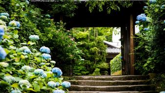 Nature trees architecture garden stairways blue flowers hydrangeas wallpaper
