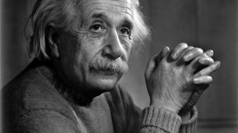 Scientists gray hair great man relativity theory wallpaper