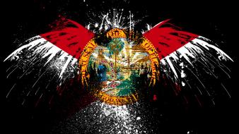Eagles hawk flags usa florida state wallpaper