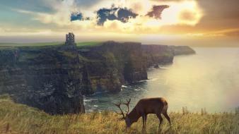 Landscapes coast animals deer scotland photomanipulation wallpaper