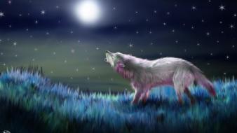 Landscapes night stars animals moon moonlight drawings wolves wallpaper