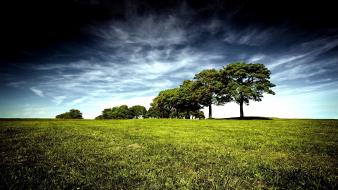 Clouds landscapes nature black trees grass skyscapes wallpaper