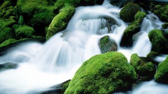Nature rocks streams moss oregon mount jefferson waterfalls wallpaper