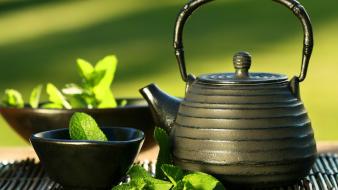 Nature tea mint wallpaper