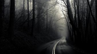 Dark forest mist roads wallpaper