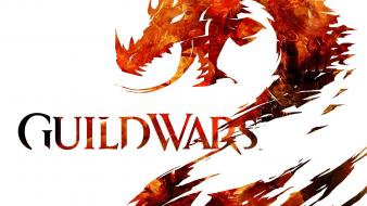 Fire guild wars 2 wallpaper