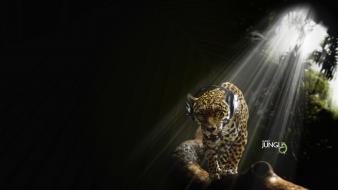 Headphones music jungle audio jaguars wallpaper