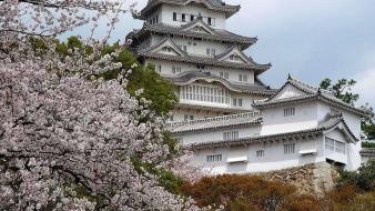 Japan cherry blossoms flowers spring (season) asian architecture wallpaper
