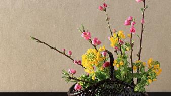 Japan cherry blossoms flowers spring (season) baskets wallpaper