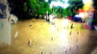 Rain water drops raindrops wallpaper