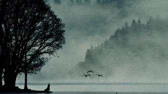 Trees birds silhouette mist sea wallpaper
