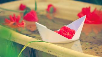 Water flowers papercraft paper boat red blurred background wallpaper