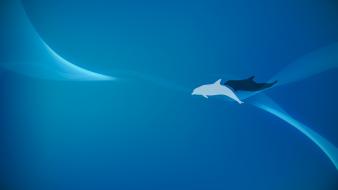 White minimalistic digital art dolphins blue background wallpaper