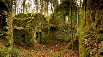 Autumn (season) ruins forest leaves ireland moss