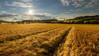 Clouds nature fields skyscapes wallpaper