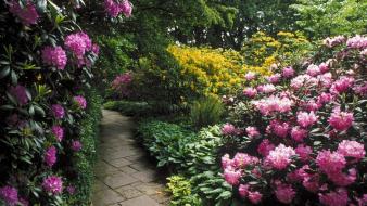 Flowers germany garden hannover wallpaper