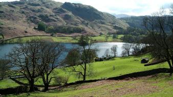 Landscapes nature trees lakes