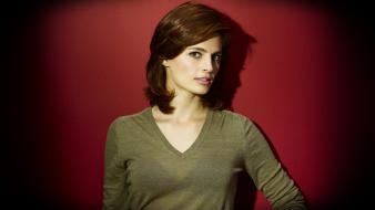 Stana katic red background castle tv series wallpaper