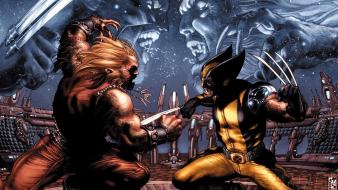 Wolverine marvel comics sabretooth wallpaper