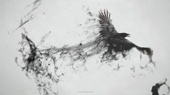 Abstract dark birds smoke grayscale messenger raven trail wallpaper