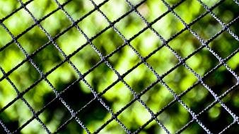 Close-up nature fences chain link fence blurred background wallpaper