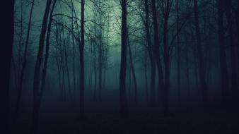 Creepy trees dark forest mist wallpaper