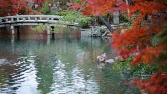 Japan autumn (season) leaves garden wallpaper