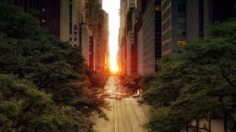 Sunrise trees streets cars skyscrapers cities wallpaper