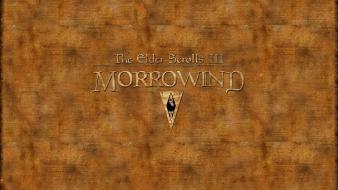 The elder scrolls iii: morrowind wallpaper