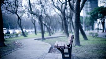 Alone bench parks wallpaper