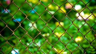 Garden chain link fence wallpaper