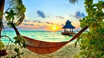 Hammock palm trees branches rays exotic bungalow wallpaper