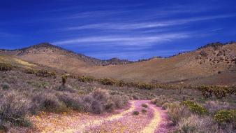 Landscapes nature desert