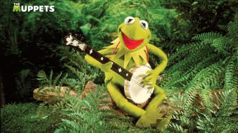 Green frogs kermit the frog banjo jim henson