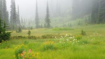 Landscapes canada british columbia meadows national park