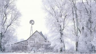 Frosted Farmland wallpaper
